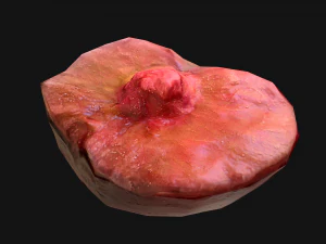Plums 3D Model