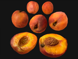Peach 3D 모델