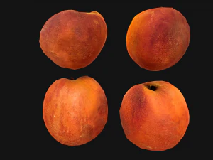 Peach 3D Model
