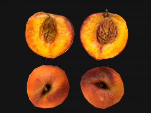 Peach 3Dモデル