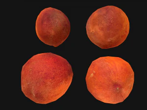 Peach 3D Model