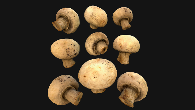 Champignon Mushrooms 3D Modell .c4d .max .obj .3ds .fbx .stl .blend
