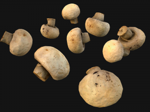 Champignon Mushrooms 3D Modell