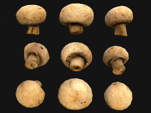Champignon Mushrooms 3D Modell