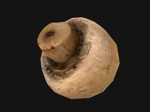 Champignon Mushrooms 3D Modell