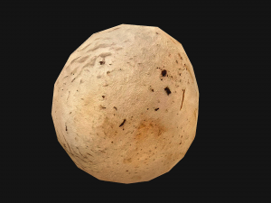 Champignon Mushrooms 3D Modell