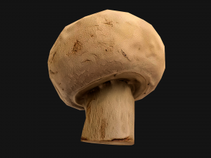 Champignon Mushrooms 3D Modell