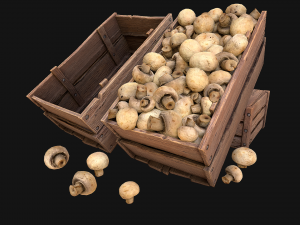 Mushrooms Crate Stand Box 3D 모델