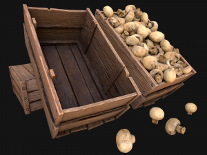 Mushrooms Crate Stand Box 3D 模型
