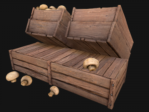 Mushrooms Crate Stand Box 3D 模型