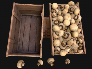 Mushrooms Crate Stand Box 3D 模型