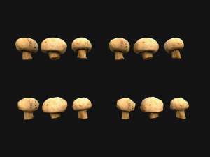 Mushrooms Crate Stand Box 3D 模型
