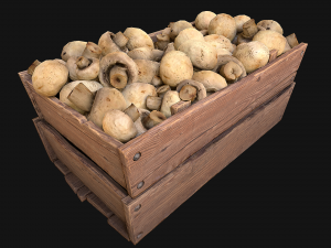 Mushrooms Crate Stand Box 3D 模型