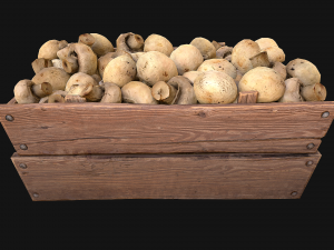 Mushrooms Crate Stand Box 3D 模型