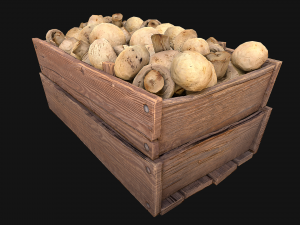 Mushrooms Crate Stand Box 3D 模型