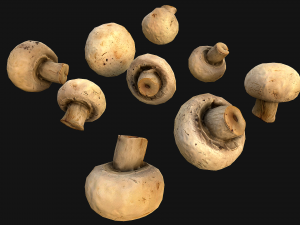 Mushrooms Crate Stand Box 3D 模型