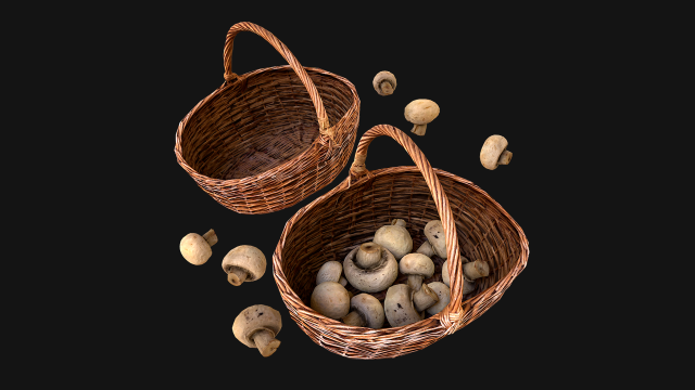 Basket with Mushrooms 3D Model .c4d .max .obj .3ds .fbx .stl .blend 