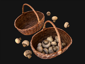 Basket with Mushrooms 3D 모델