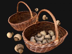 Basket with Mushrooms 3D Model