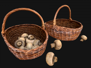 Basket with Mushrooms 3D Model