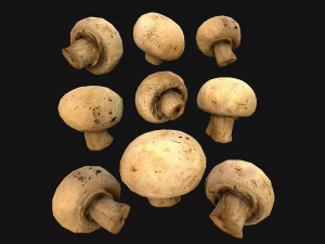 Basket with Mushrooms 3D Model