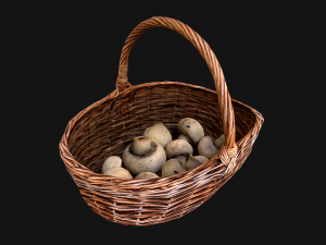 Basket with Mushrooms 3D Model