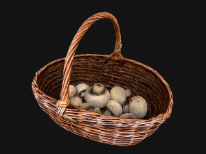 Basket with Mushrooms 3D Model
