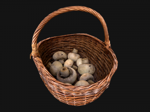 Basket with Mushrooms 3D Model