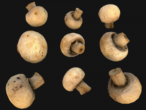 Basket with Mushrooms 3D Model