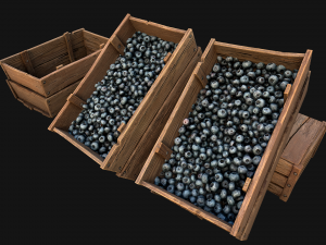 Blueberry Crate Box 3D Model