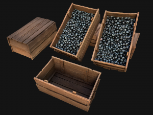 Blueberry Crate Box 3D Model