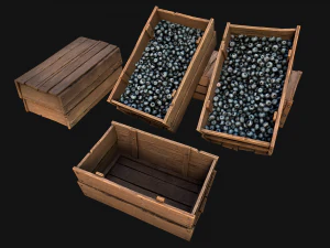 Blueberry Crate Box 3D Model