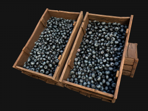 Blueberry Crate Box 3D Model