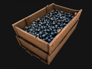 Blueberry Crate Box 3D Model