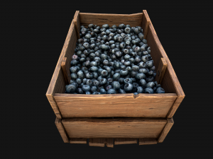 Blueberry Crate Box 3D Model