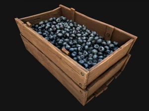 Blueberry Crate Box 3D Model