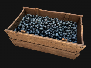 Blueberry Crate Box 3D Model