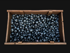 Blueberry Crate Box 3D Model