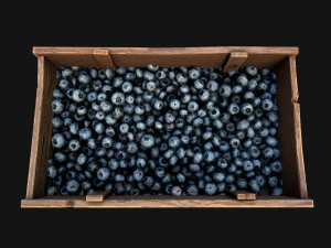 Blueberry Crate Box 3D Model