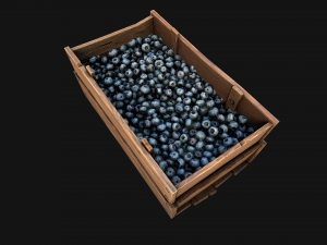 Blueberry Crate Box 3D Model