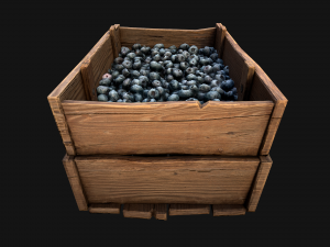 Blueberry Crate Box 3D Model