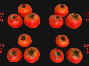 Set of Boxes of Vegetables Crate 3D Model