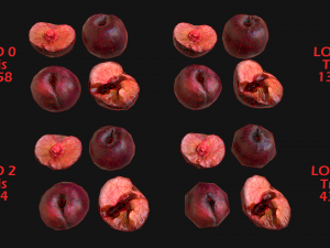 Set of Boxes of Fruits Crate Medieval 3D Model