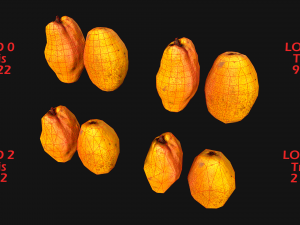 Set of Boxes of Fruits Crate Medieval 3D Model