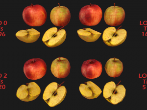 Set of Boxes of Fruits Crate Medieval 3D Model