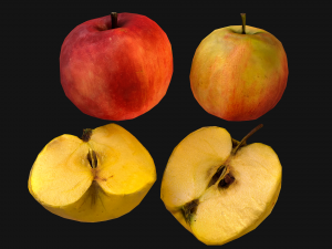 Set of Boxes of Fruits Crate Medieval 3D Model