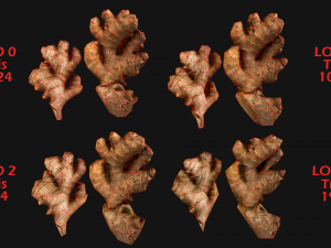 Vegetables and Fruits Bazaar Set 3Dモデル