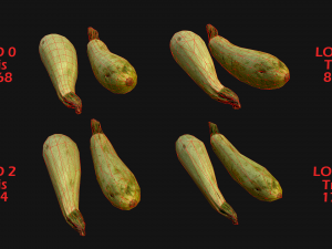 Medieval Market Vegetable Stalls Tent Pack 3D Model