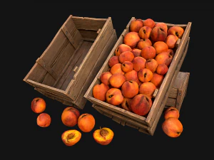 Medieval Market Stalls Cylindrical Tent Fruits Vegetables 3D Model