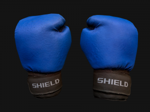 Boxing Gloves Blue 3D 模型